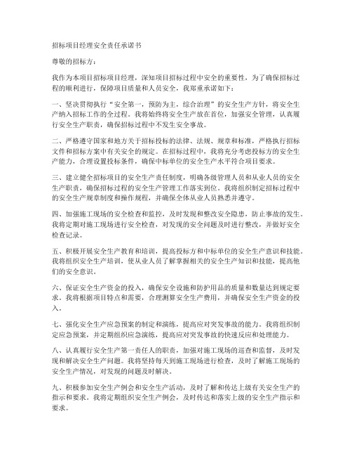 招标项目经理安全责任承诺书