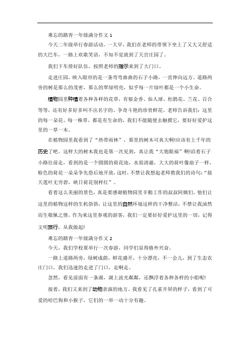 难忘的踏青一年级满分作文