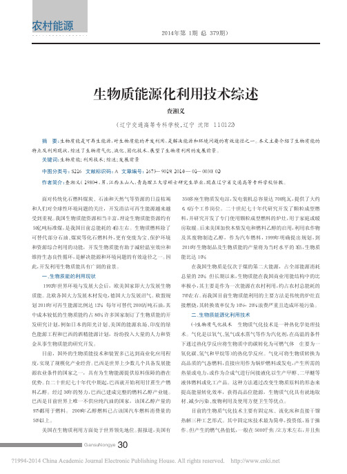 生物质能源化利用技术综述