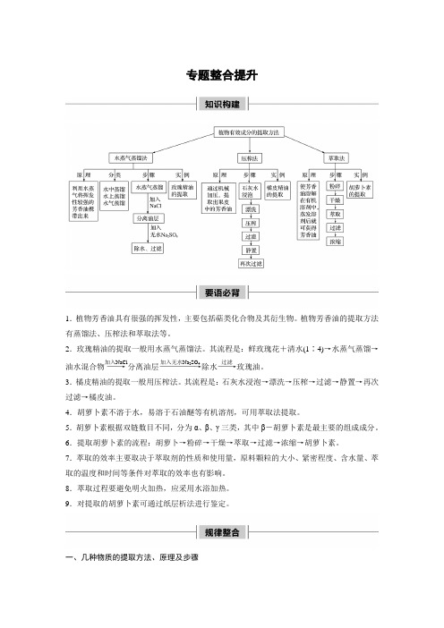 专题6  高中生物选修1专题整合提升