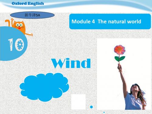 牛津上海版(深圳)五年级上学期unit 10《wind