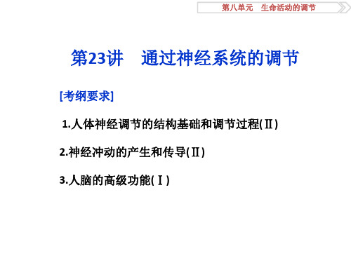 人教版高中生物一轮复习课件：第23讲  通过神经系统的调节(共34张PPT)