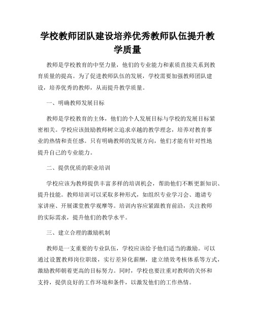 学校教师团队建设培养优秀教师队伍提升教学质量