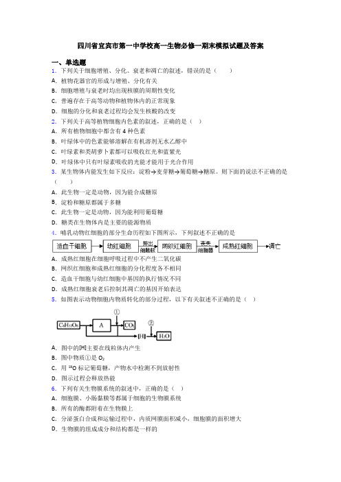 四川省宜宾市第一中学校高一生物必修一期末模拟试题及答案