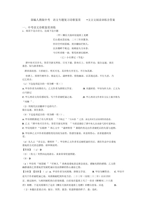 部编人教版中考语文专题复习诗歌鉴赏+文言文阅读训练含答案