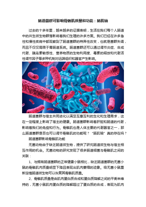 肠道菌群可影响骨骼肌质量和功能：肠肌轴