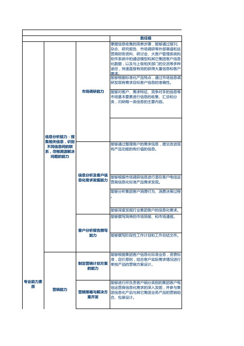 中国移动集团客户经理能力模型.xls