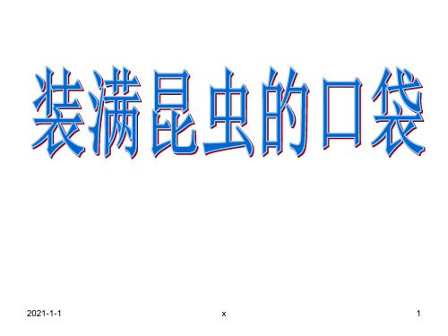 装满昆虫的衣袋__教学课件.ppt