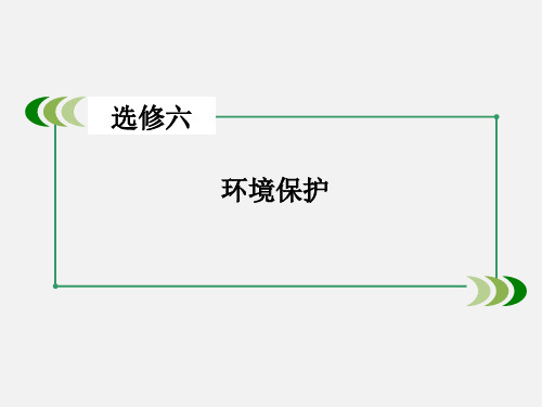 高考地理 一轮复习 环境保护 新人教版选修6