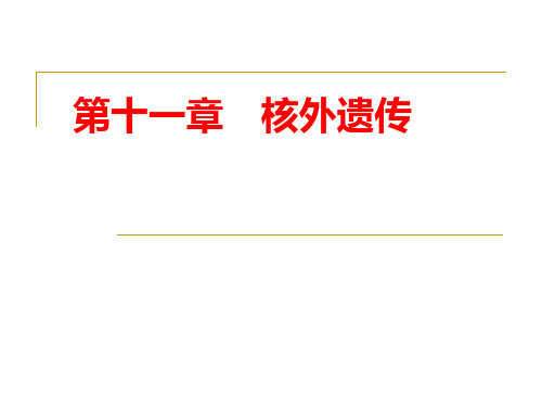 第十一章核外遗传3ppt课件