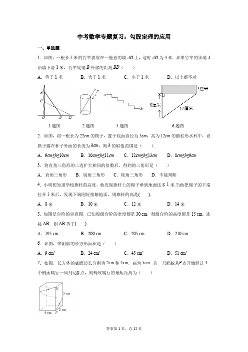 中考数学专题复习：勾股定理的应用