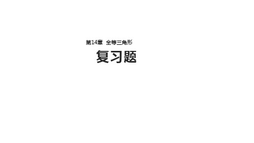 沪科版八年级数学上册 第14章  全等三角形  复习课件 (共22张PPT)