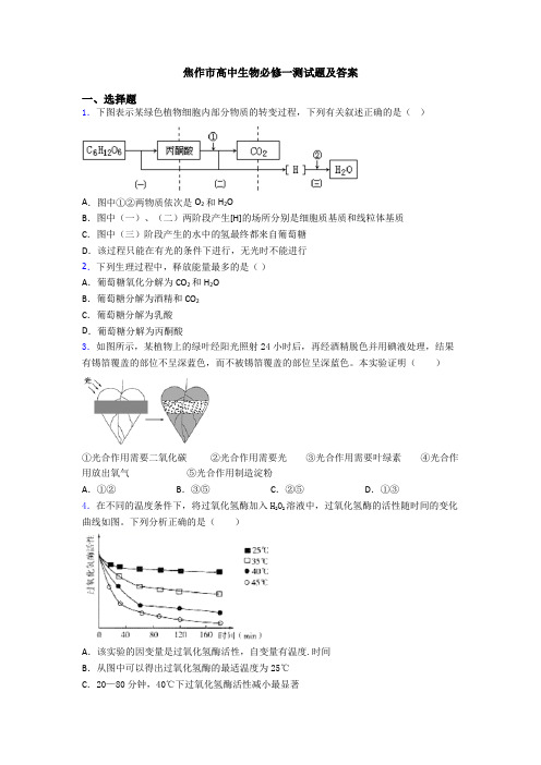 焦作市高中生物必修一测试题及答案