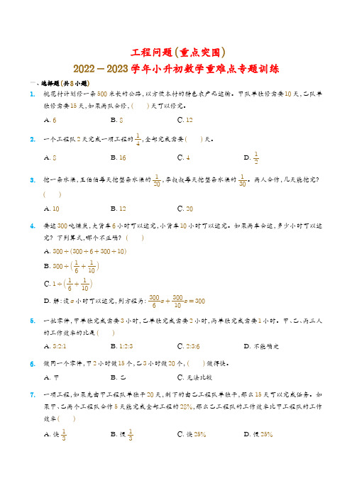 工程问题--2023学年小升初数学重难点专题训练(重点突围)