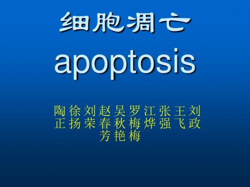 细胞凋亡apoptosis