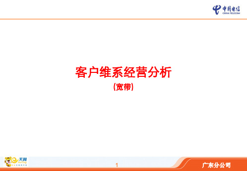 中国电信宽带客户离网状况分析.pptx