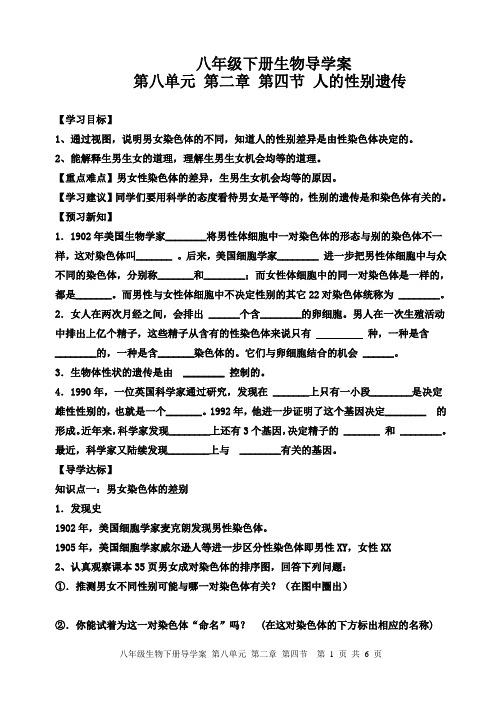 鲁科版生物八下8.2.4人的性别的遗传导学案