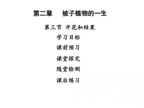 人教版七年级生物上册课件第二章  被子植物的一生 第三节开花和结果 (共27张PPT)