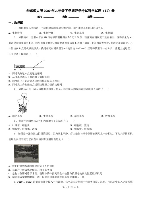 华东师大版2020年九年级下学期开学考试科学试题(II)卷