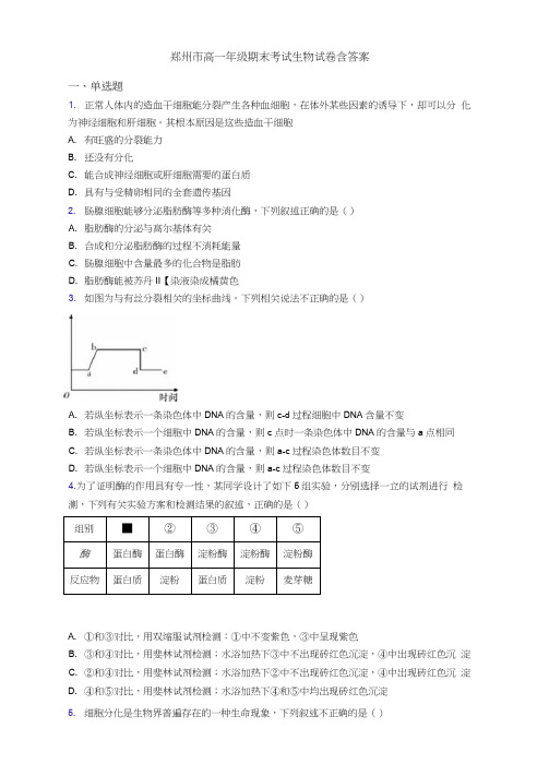 郑州市高一年级期末考试生物试卷含答案