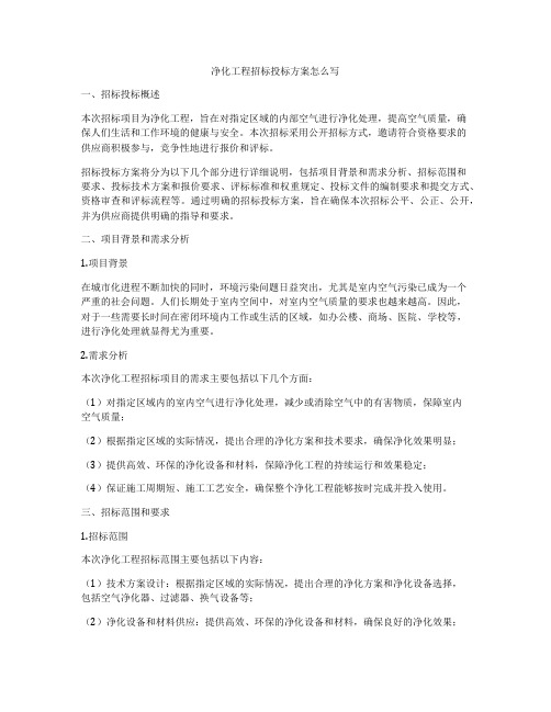 净化工程招标投标方案怎么写