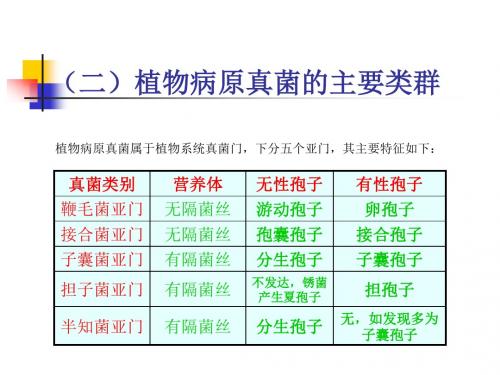 工作任务2-2园林植物病原真菌识别续