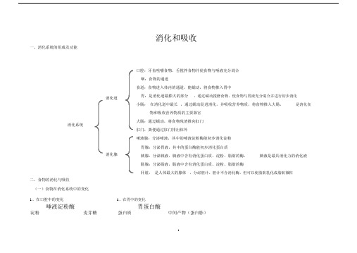 (完整word版)七年级生物消化与吸收知识点,文档.doc