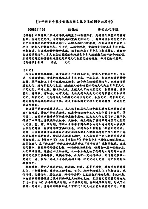 关于历史中家乡青海的调查与思考