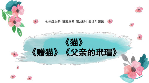 初级中学人教部编版七年级语文上册课件：16课猫 (共22张PPT)