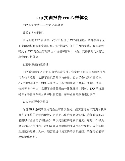 erp实训报告ceo心得体会