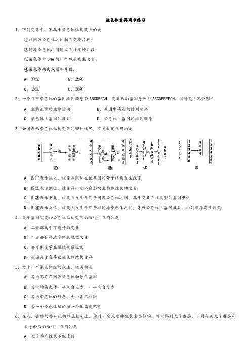 广东省深圳市2017-2018学年高二生物人教版必修二同步练习：染色体变异(word解析版)