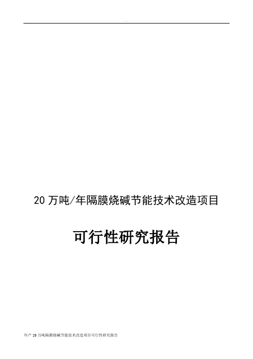 年产20万吨隔膜烧碱节能技术改造项目可行性研究报告