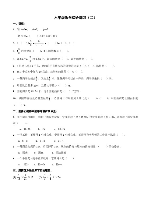 六年级数学综合练习(寒假作业2)