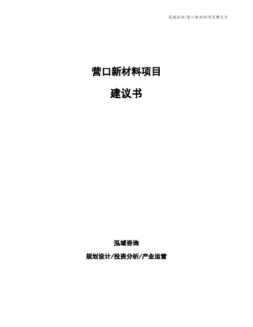 营口新材料项目建议书