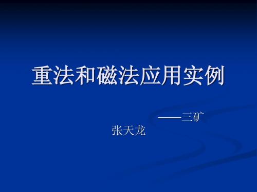 中国地质大学磁法重法应用实例