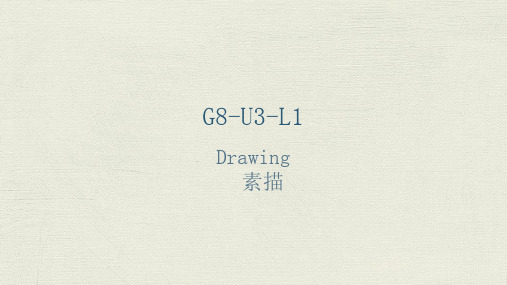 适合12岁孩子的K12美术教程之G8-U3-L1 素描