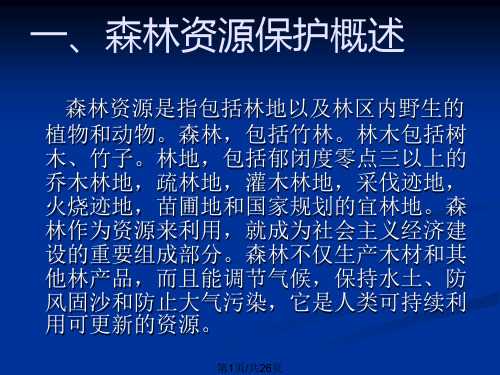 保护森林草原的法律规定PPT课件