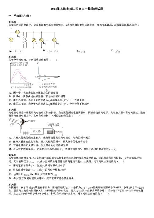 2024届上海市松江区高三一模物理试题