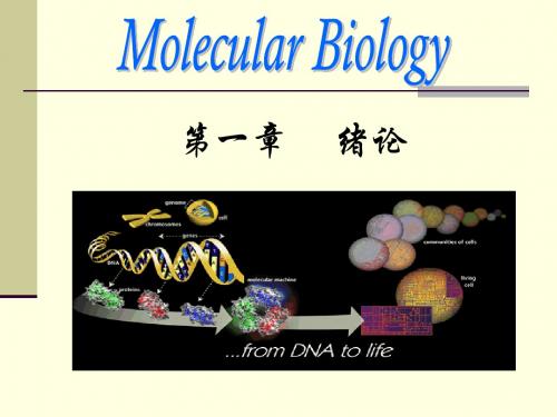 分子生物学：第一章 绪论