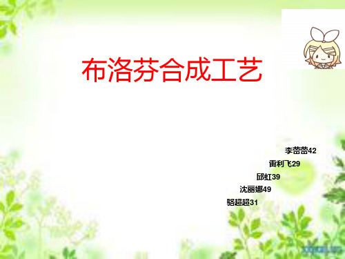 布洛芬合成、药理ppt2