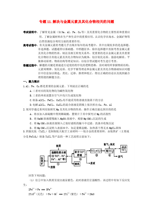 高三化学二轮复习 专题11 解决金属元素及其化合物相关问题精品学案