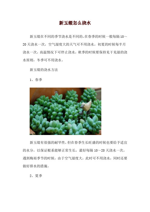 新玉缀怎么浇水