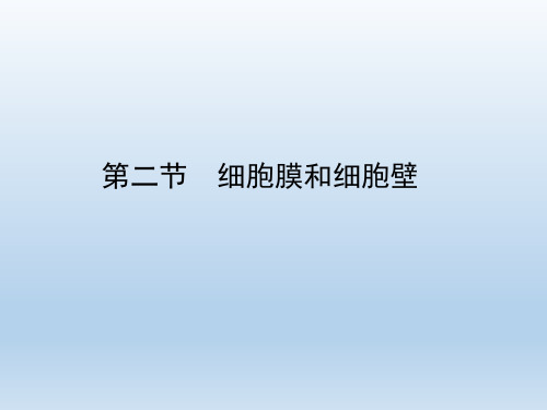 浙科版高中生物必修1《细胞膜和细胞壁》优秀课件