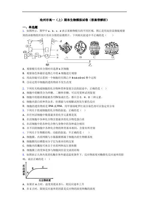 沧州市高一(上)期末生物模拟试卷(答案带解析)