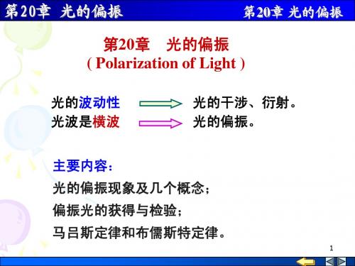 20  光的偏振