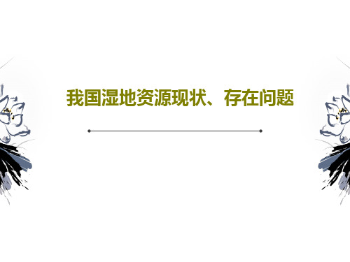 我国湿地资源现状、存在问题共21页文档