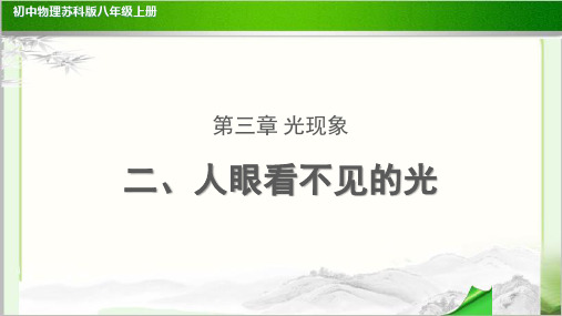 《人眼看不见的光》 示范公开课教学课件【初中物理苏科版八上】