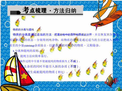 中考化学 考点聚焦 第18讲 物质的分离、提纯与转换课件