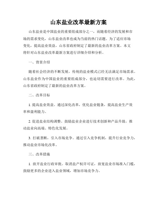 山东盐业改革最新方案