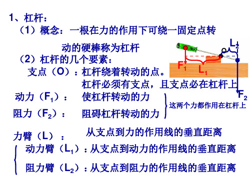 苏科版九年级上册物理 11.1 杠杆 课件(共20张PPT)